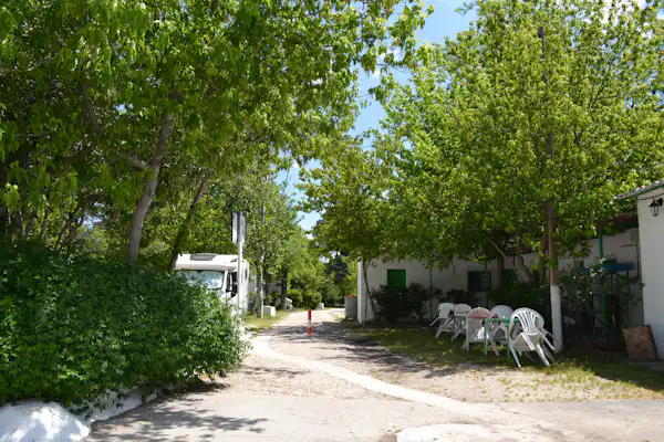 Camping Osuna