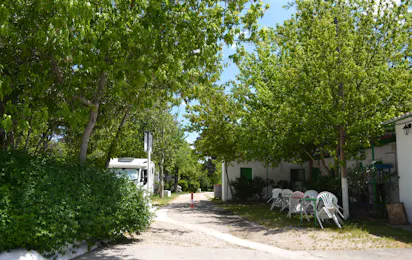 Camping Osuna