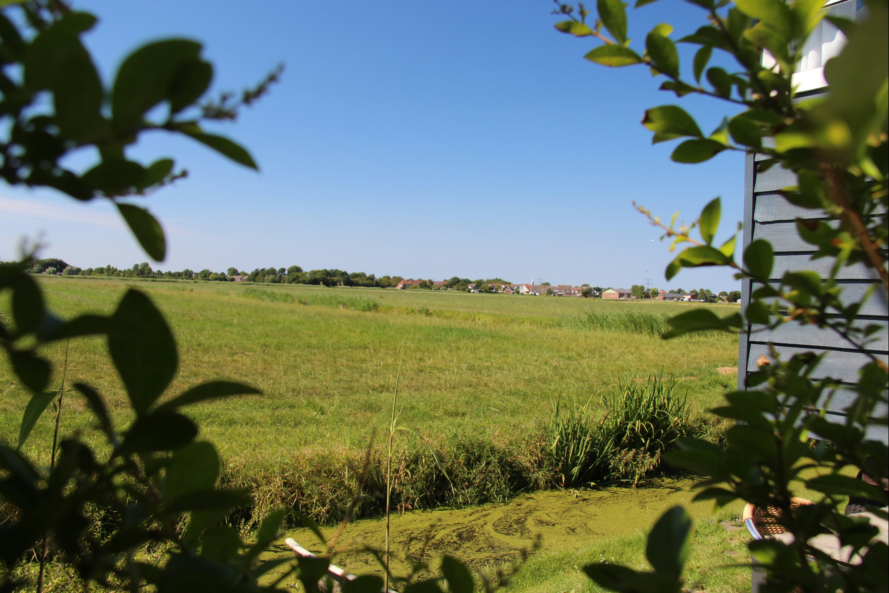 Camping Oudesluis - Felder in der Umgebung des Campingplatzes