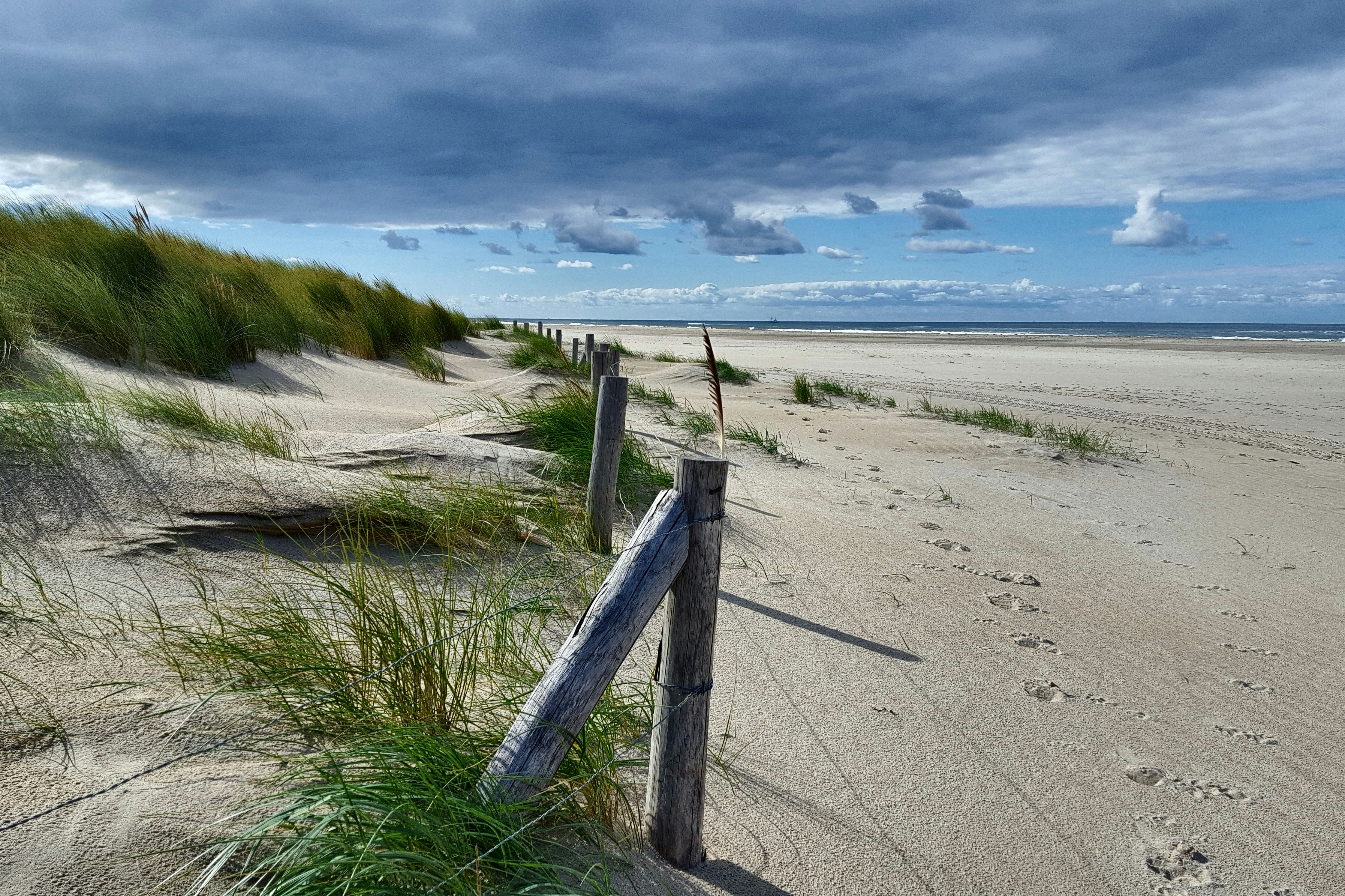 Camping Oudesluis - Strand in der Nähe des Campingplatzes