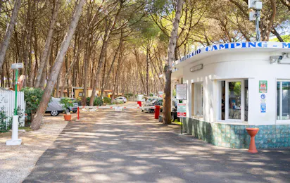 Marepineta Camping