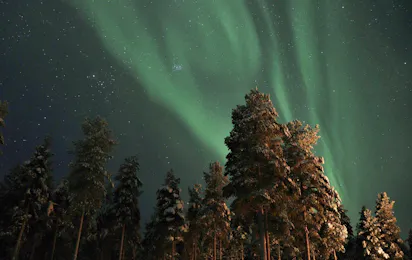 Pajala Camping Route 99