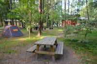 Camping Pajūrio - SItzgelegenheiten mit einem Zelt daneben im Grünen