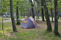 Camping Pajūrio - Zelt zwischen Bäumen auf dem Campingplatz