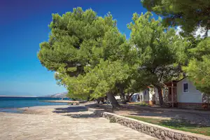 Camping Paklenica - Mobilheime direkt am Meer auf dem Campingplatz