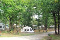 Camping Palace - Zeltplätze im Schatten
