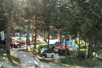 Camping Palafavera  -  Zeltplatz vom Campingplatz im Grünen zwischen hohen Bäumen