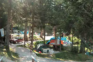 Campingplatz im Wald: Wohnwagen und Zelte neben geparkten Autos auf einem Kiesweg zwischen Bäumen.
