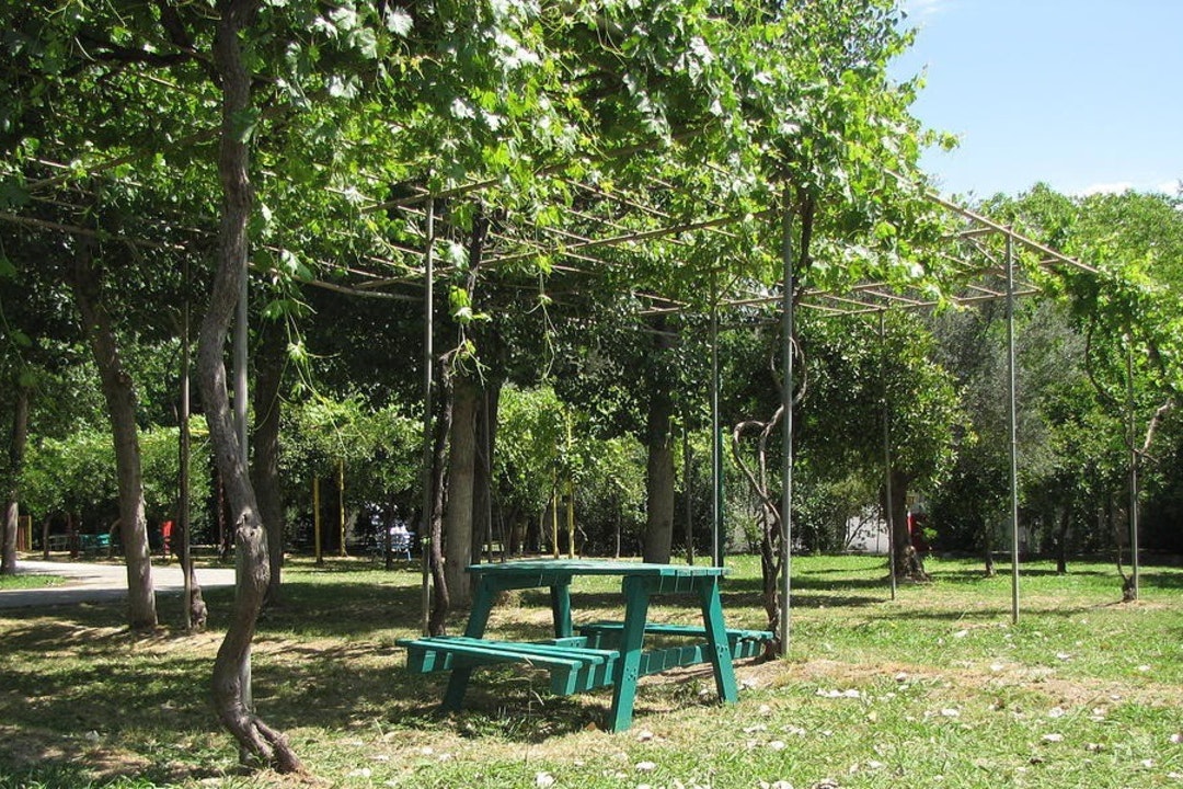 Camping Paleológio - Blick auf den Campingplatz im Grünen