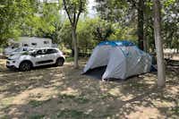 Camping Paleológio - Zeltplatz auf dem Campingplatz