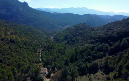 Camping Palomera