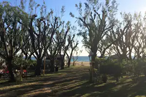 Camping Palouki - Wohnwagenstellplätze im Grünen auf dem Campingplatz mit Blick auf das Meer