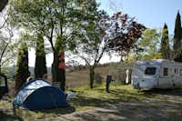 Camping Panorama del Chianti - Stellplätze im Halbschatten