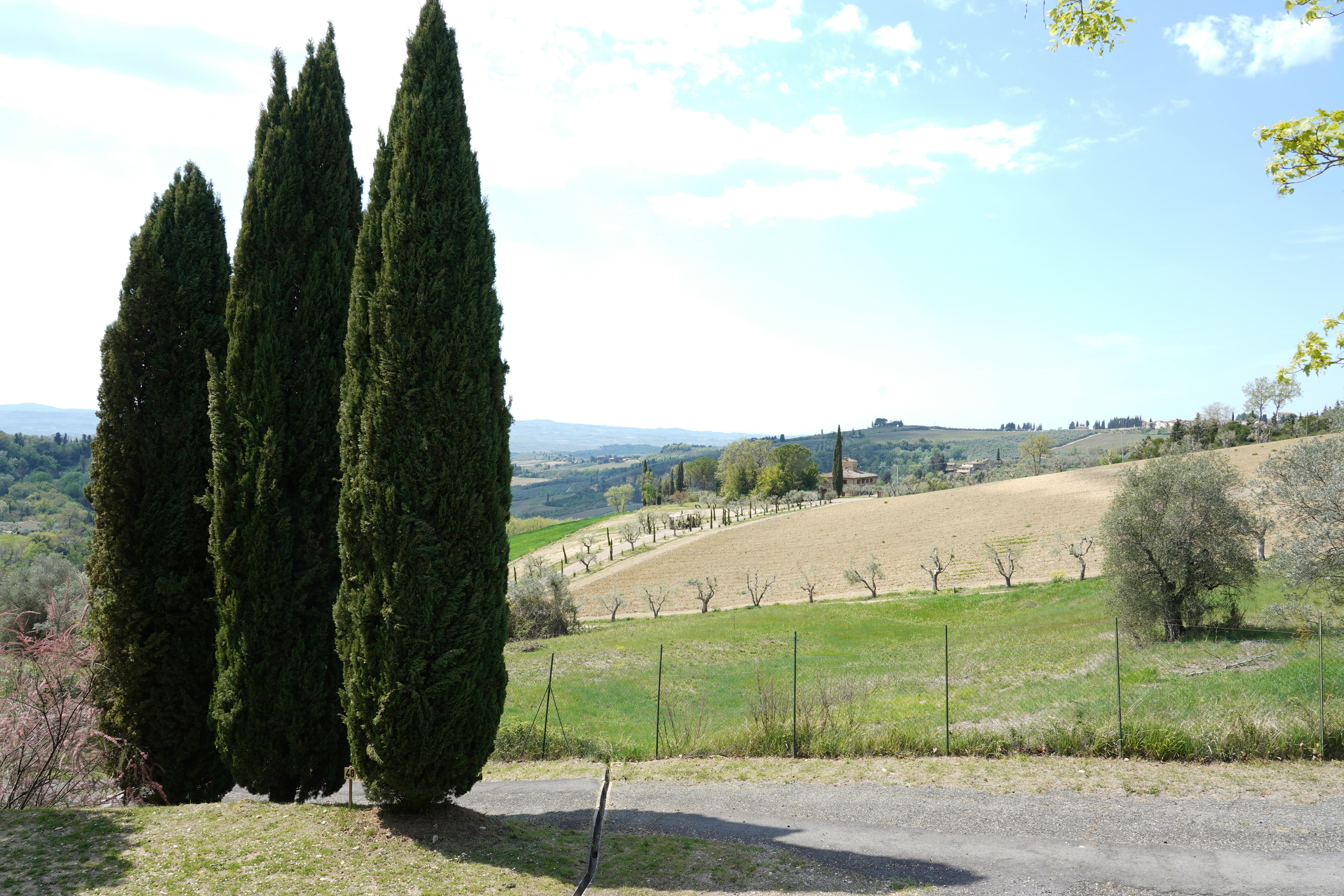 Camping Panorama del Chianti - Stellplätze mit Blick in die Landschaft