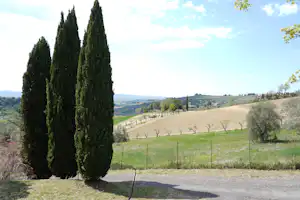 Camping Panorama del Chianti - Stellplätze mit Blick in die Landschaft