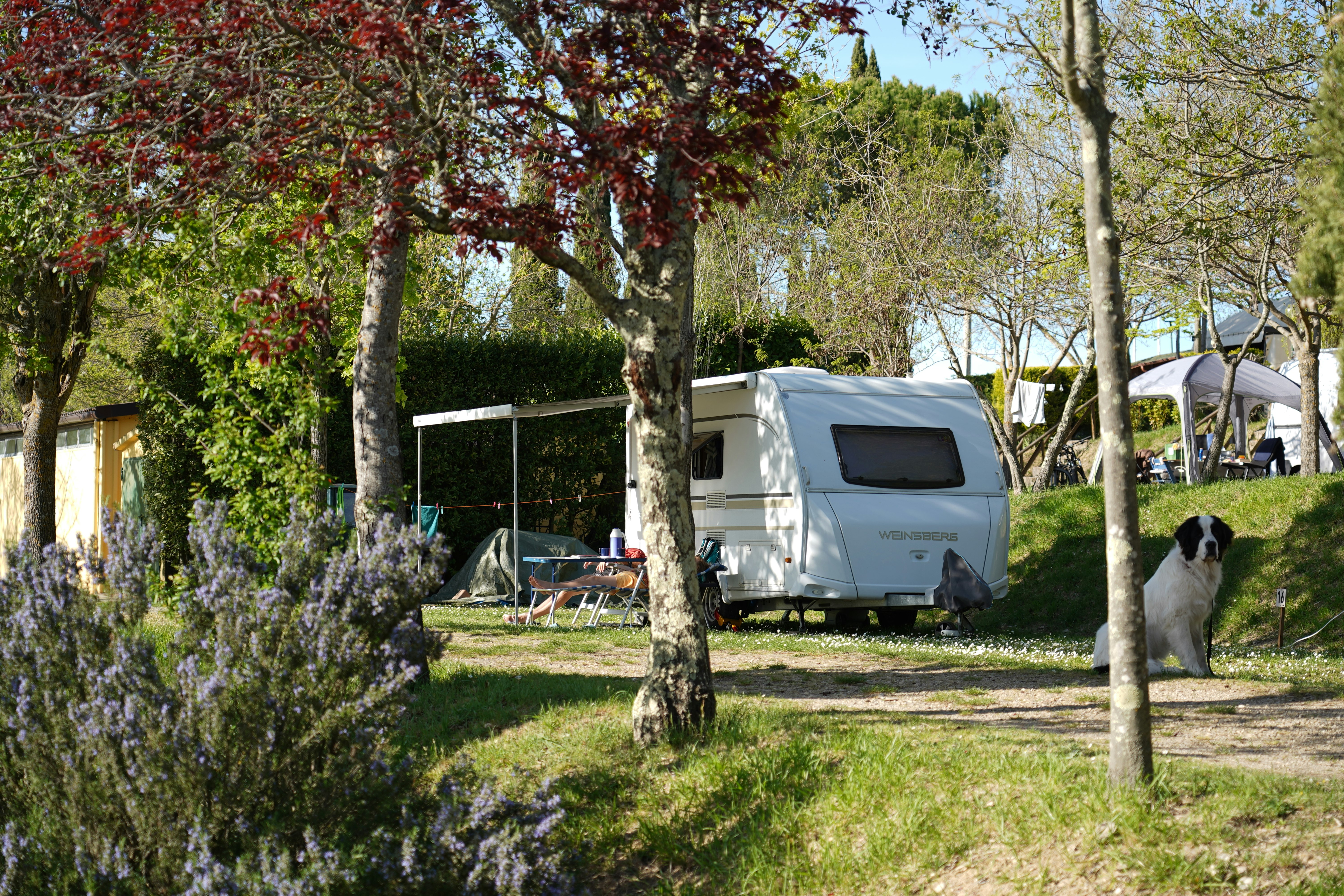 Camping Panorama del Chianti - Stellplatz im Halbschatten