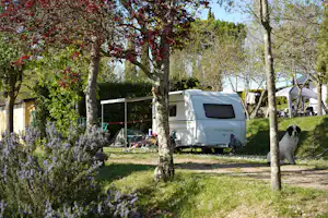 Camping Panorama del Chianti - Stellplatz im Halbschatten