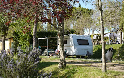 Panorama Chianti Camping