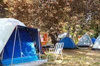 Camping Papa Nero  - Zelte auf dem Stellplatz vom Campingplatz im Grünen