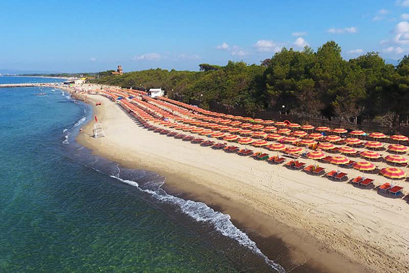 Camping Pappasole - Strand Luftaufnahme mit Liegestühlen und Sonnenschirmen  mit Blick auf das Meer