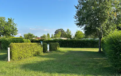 MoinCamp
