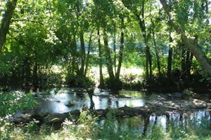 Camping Paradis de la Nature - Bach im Grünen auf dem Campingplatz