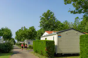 Reihe von Wohnwagen auf einem Campingplatz, gepflasterter Weg, Hecken und Bäume im Hintergrund.
