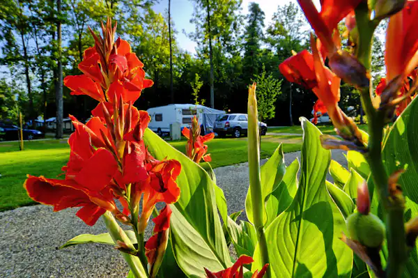 Camping Paradis Plage