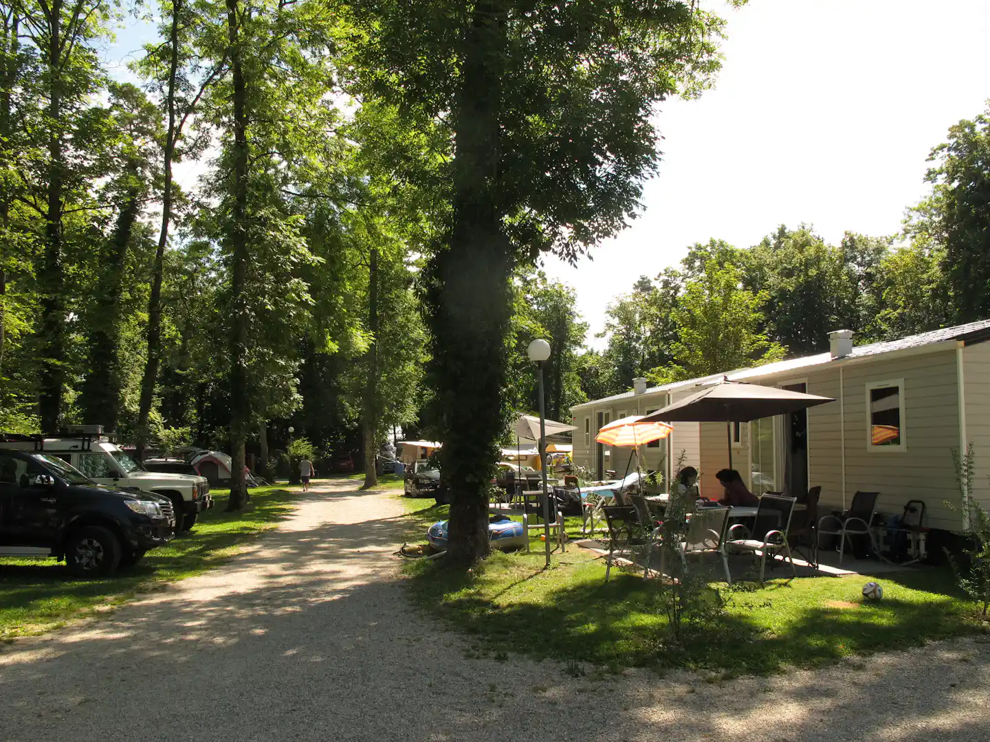 Campingplatz mit Wohnwagen und Vorzelten, Sitzgruppe unter Sonnenschirmen, Autos am Weg zwischen hohen Bäumen.
