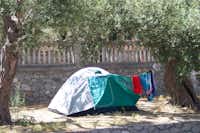 Camping Paradise - ein Zelt zwischen Bäumen auf dem Campingplatz