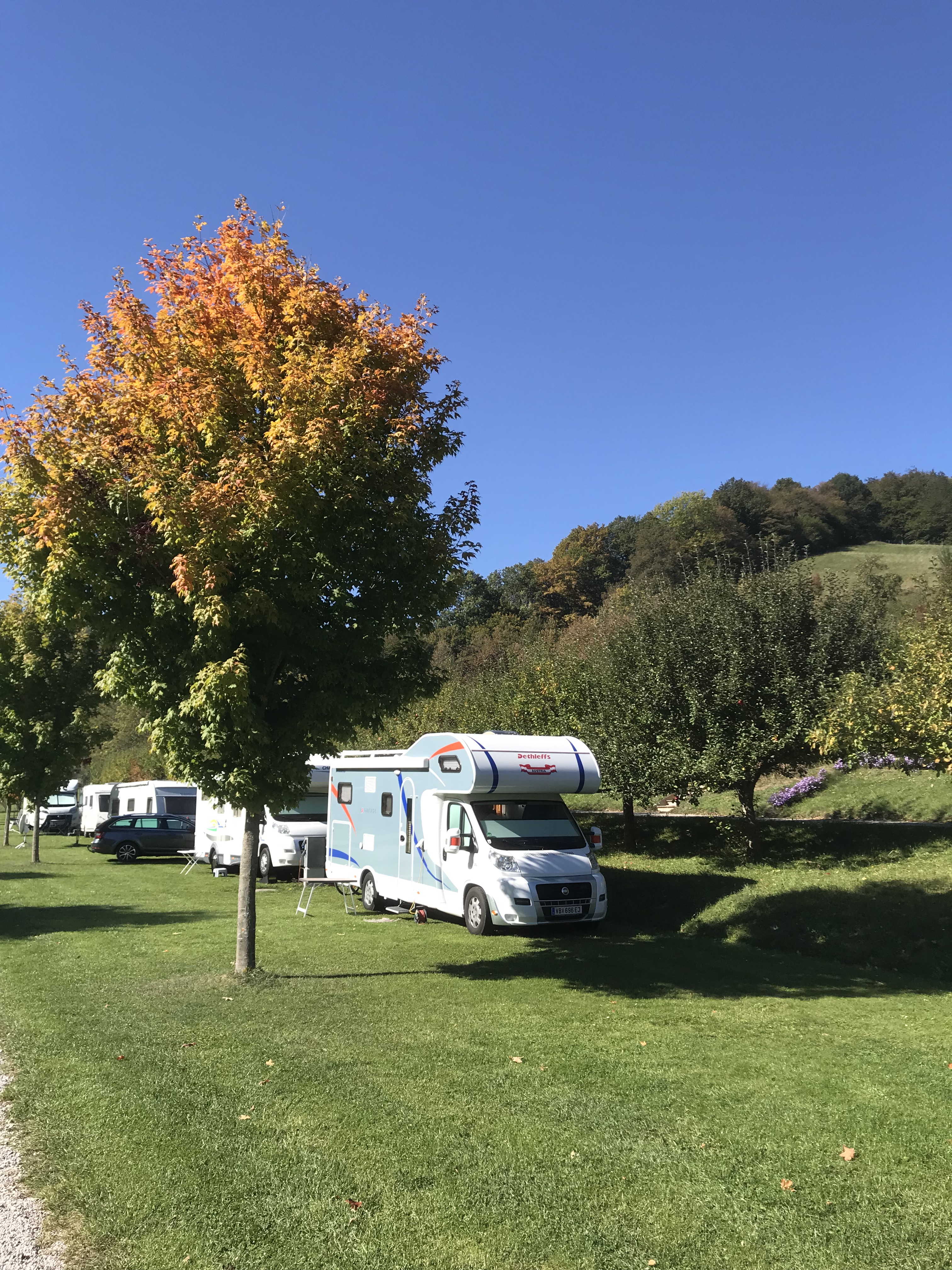 Camping Paradise Garden