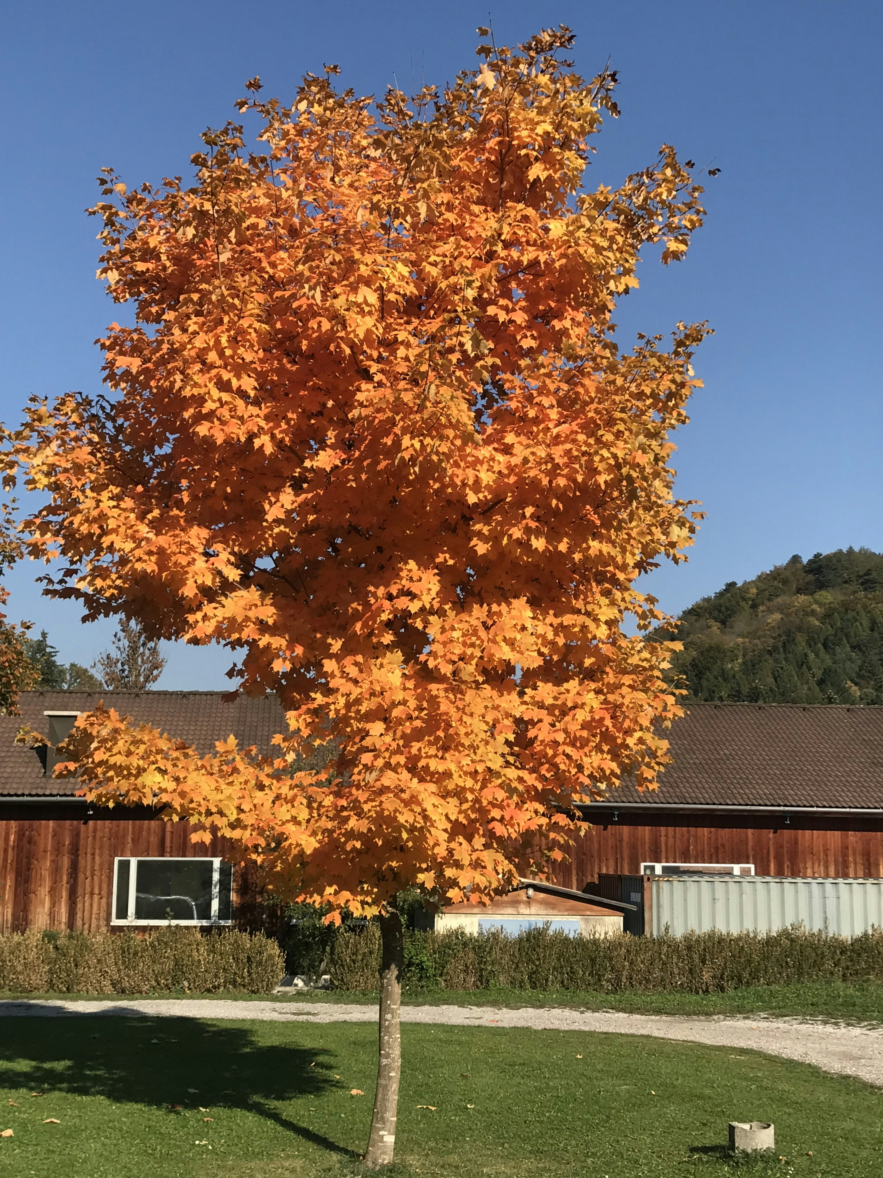 Camping Paradise Garden