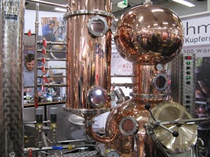 Camping Paradise Garden