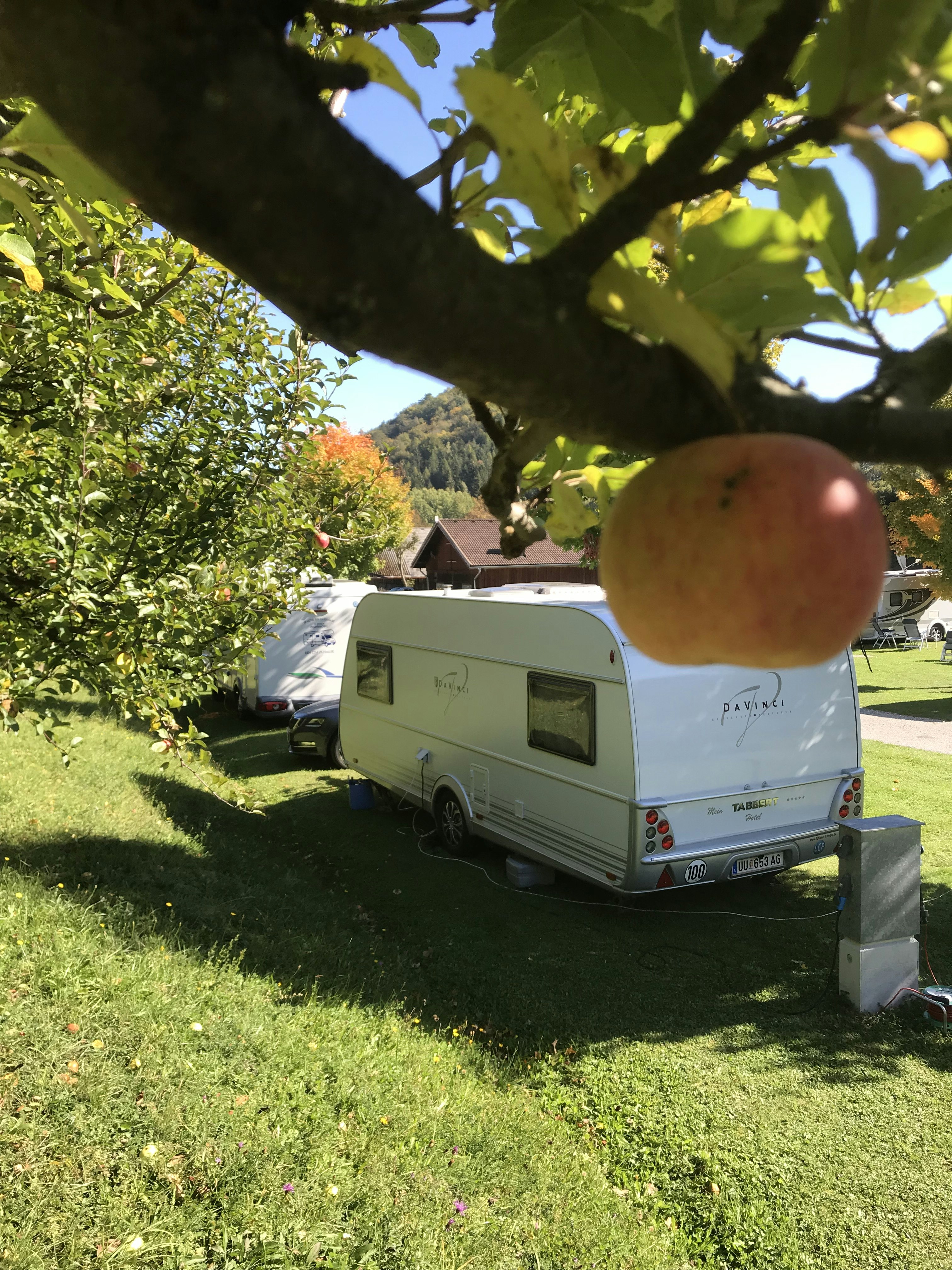 Camping Paradise Garden