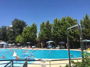 51584354.jpg