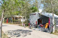 Camping Paradiso - Strasse des Campingplatzes mit Wohnwagen auf Stellplätzen am Rand