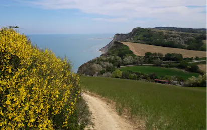 Camping Paradiso (Pesaro)