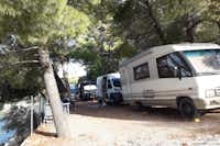 Camping Paradiso - Wohnmobil- und  Wohnwagenstellplätze im Schatten der Bäume