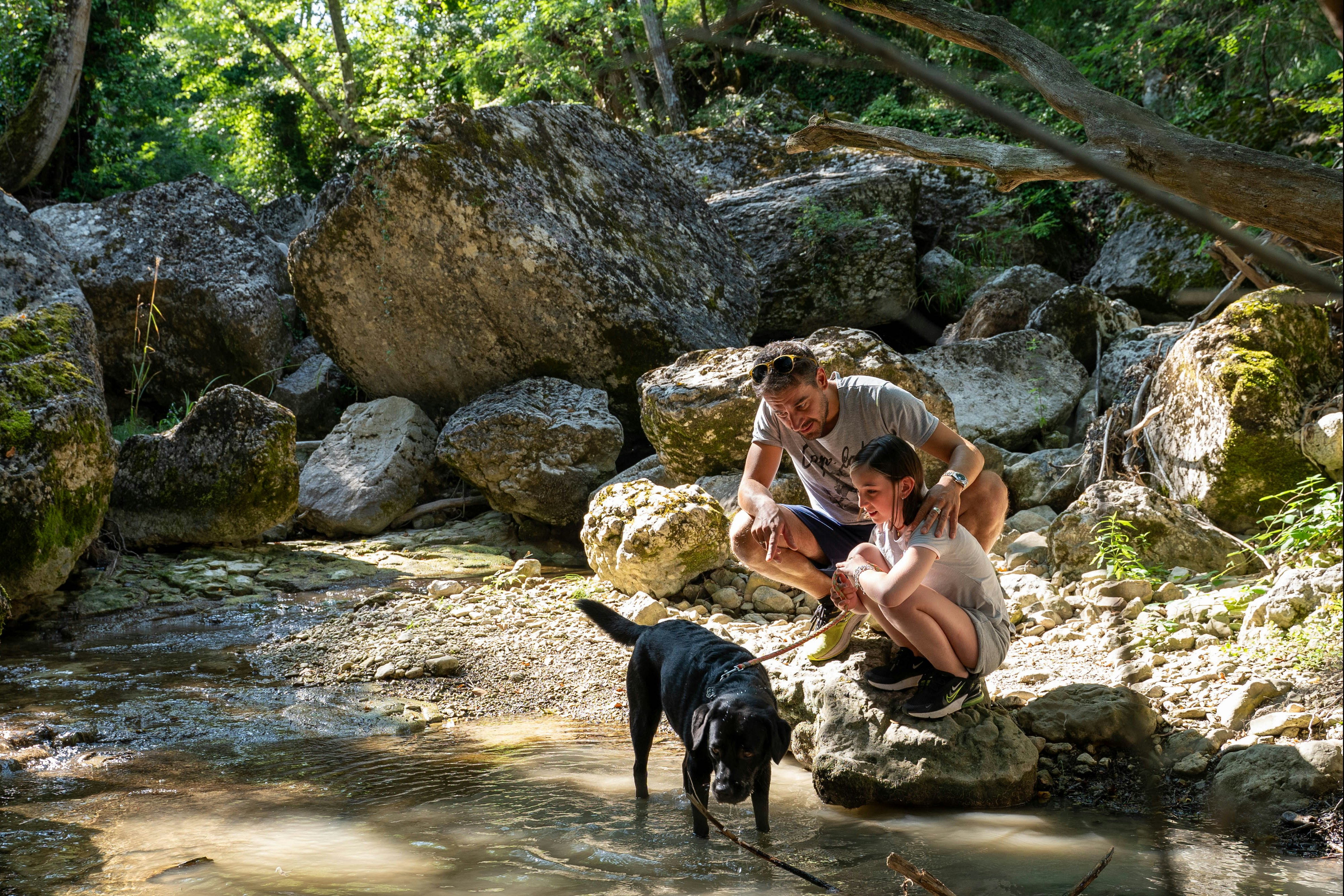 Camping Paradiso - Camper mit Hund in der Natur