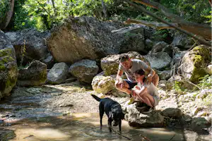Ein Hund watet durch einen kleinen Fluss im Wald, daneben sitzen zwei Personen auf Steinen am Ufer.