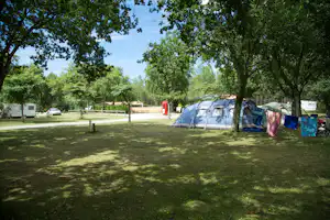 Zelte auf einem Campingplatz im Grünen, mit Bäumen am Rand und Rasenfläche zwischen den Stellplätzen.