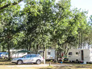 Wohnwagen und Pkw auf einem Campingplatz zwischen Bäumen, mit Stellplätzen und einem weißen Zelt im Hintergrund.
