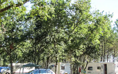 Camping le Laha