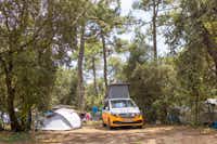 Camping Club MS La Côte Sauvage - Standplatz zwischen den Bäumen