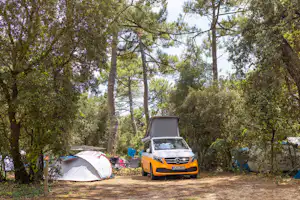 Camping Club MS La Côte Sauvage - Standplatz zwischen den Bäumen