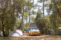 Camping Club MS La Côte Sauvage - Standplatz zwischen den Bäumen
