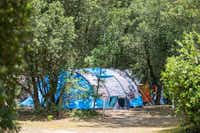 Camping Club MS La Côte Sauvage - Zeltplatz zwischen den Bäumen