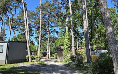 Camping Parc de la Dranse