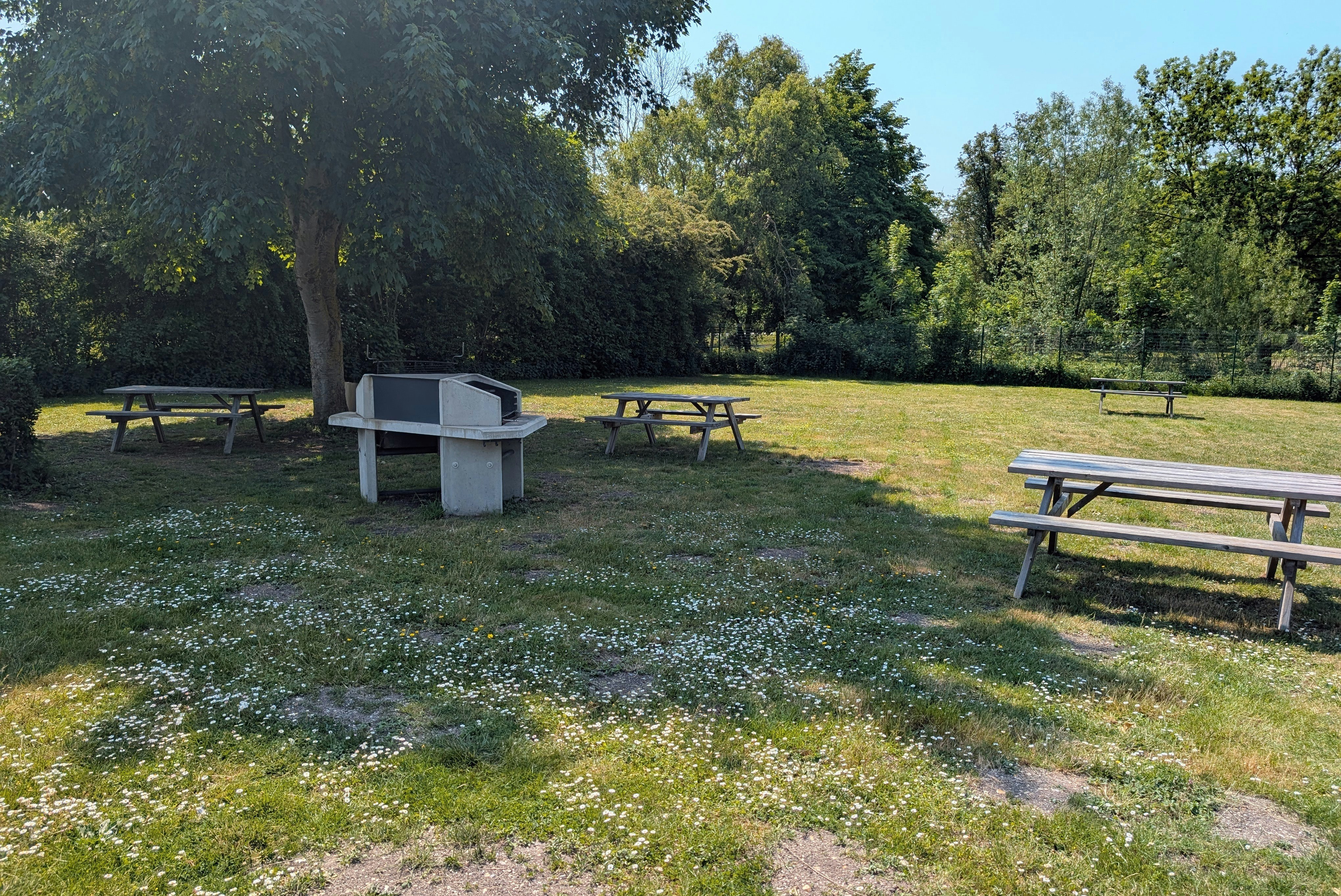 Camping des Cygnes  Camping Parc des Cygnes - Grillstelle mit Picknickbänken auf dem Campingplatz