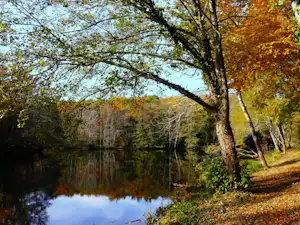 Ruhiger See im Wald mit bunten Herbstbäumen, spiegelndem Wasser und einem schmalen Weg am Ufer.